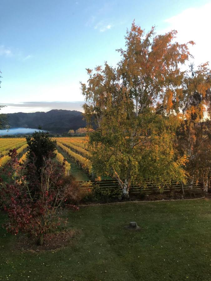 Vineyard Cottage In Blenheim On The Golden Mile מראה חיצוני תמונה